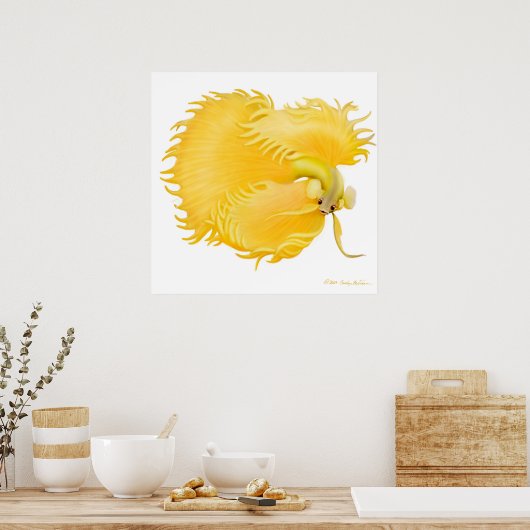 Poster de poisson Golden Betta (Cuisine)