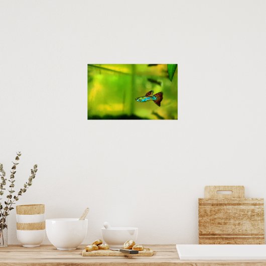 Poster de poisson guppy 1 (Cuisine)