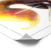 Poster de poisson Imaginaire : Sid Fishious (Coin)