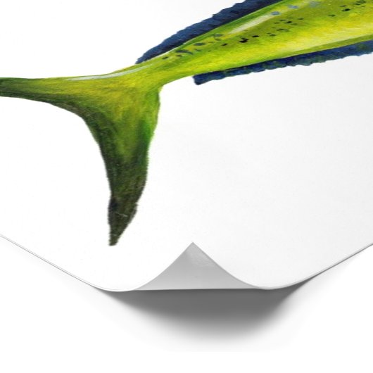 Poster de poisson Mahi-Mahi (Coin)