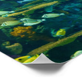 Poster de poisson tropical (Coin)