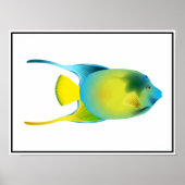 Poster de poisson tropical (Devant)