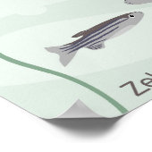 Poster de poisson zèbre (Coin)