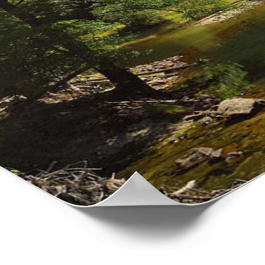 Poster de pont sentinelle Yosimite DE 14.95 (Coin)