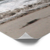 Poster De Pony On The Beach (Coin)