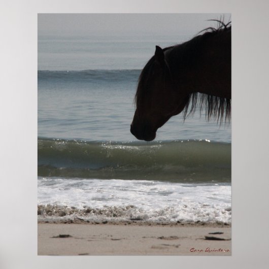 Poster De Pony On The Beach (Devant)