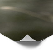 Poster de poppies rouges/impression de toile (Coin)