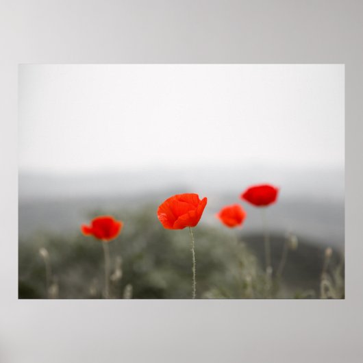 Poster de poppies rouges/impression de toile (Devant)