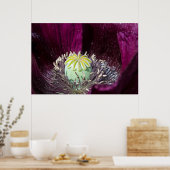 Poster de Poppy (Cuisine)