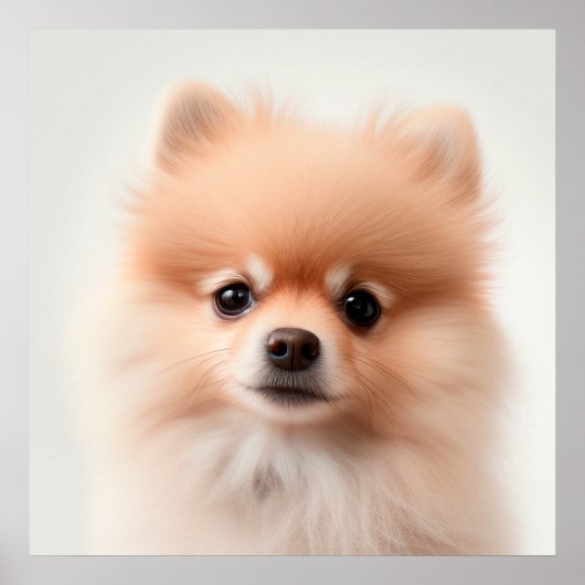 Poster de portrait de Chien Chien Chien Chien (2) (Devant)
