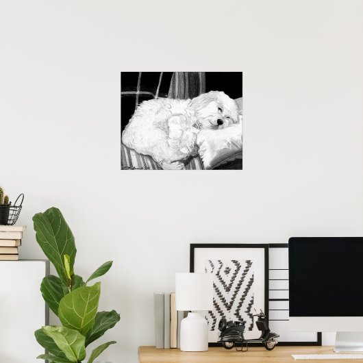 Poster de portrait de chien Cockapoo Imprimer (Bureau à domicile)