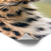 Poster de portrait léopard (Coin)