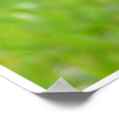 Poster de poulet rouge de production Beak compensé (Coin)