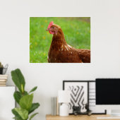 Poster de poulet rouge de production Beak compensé (Bureau à domicile)
