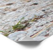 Poster de poulets (Coin)