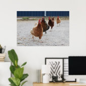 Poster de poulets (Bureau à domicile)