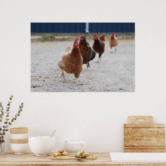 Poster de poulets (Cuisine)