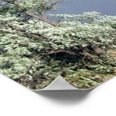 Poster de prière de sérénité (Coin)