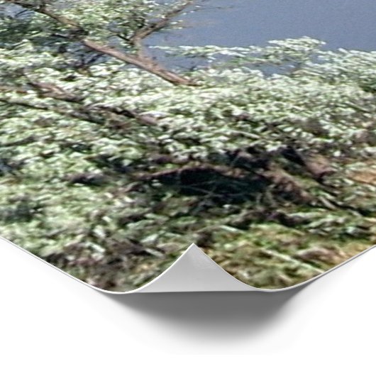 Poster de prière de sérénité (Coin)