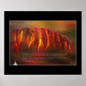 Poster de prière Lakota (Devant)