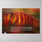 Poster de prière Lakota (Devant)