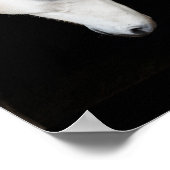 Poster de prière pour les chevaux et les humains (Coin)