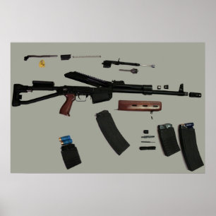 Poster de prise de contrôle Saiga 12