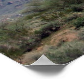 Poster De puissantes superstitions (Coin)