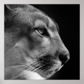 Poster de Puma (Devant)