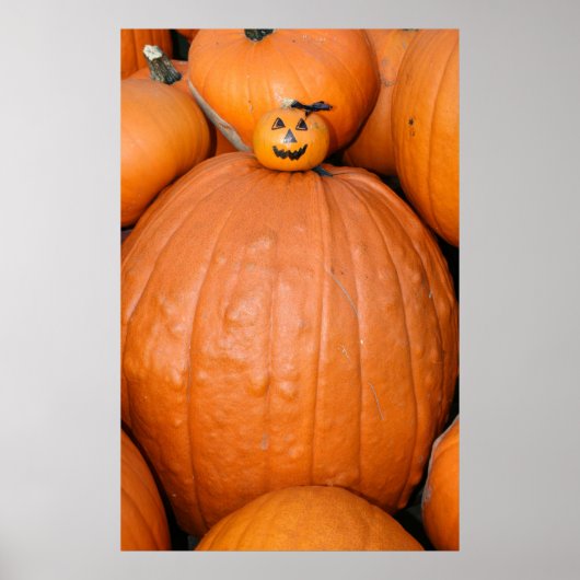 Poster de Pumkin (Devant)