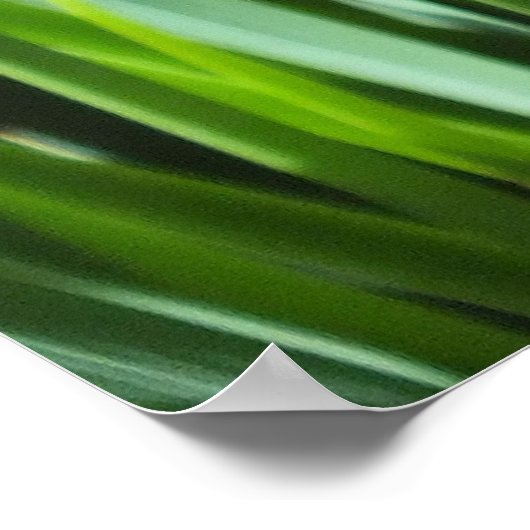 Poster de Purple Irises (Coin)