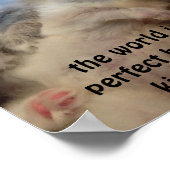 poster de ragdoll chatons (Coin)