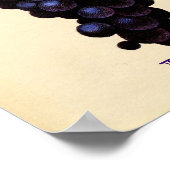 Poster de raisin vintage (Coin)