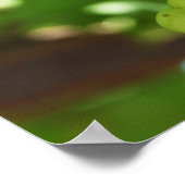 Poster de raisins (Coin)