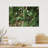 Poster de raisins (Cuisine)