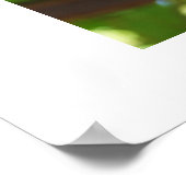 Poster de raisins (Coin)