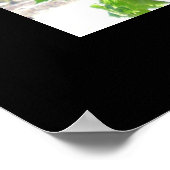 Poster de raisins (Coin)