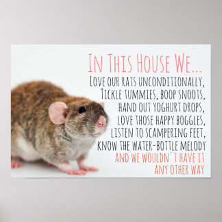 Poster de Rat Lover