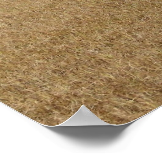 Poster de récolte de foin (Coin)