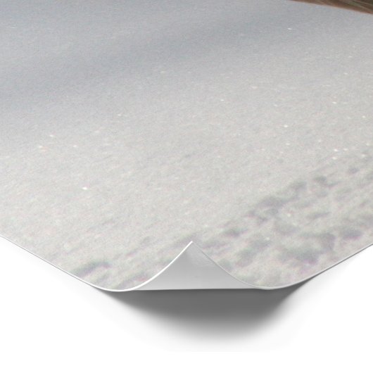 POSTER DE RÉCUPÉRATION D'OR (Coin)