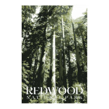 Poster de Redwood, Parc national Imprimer