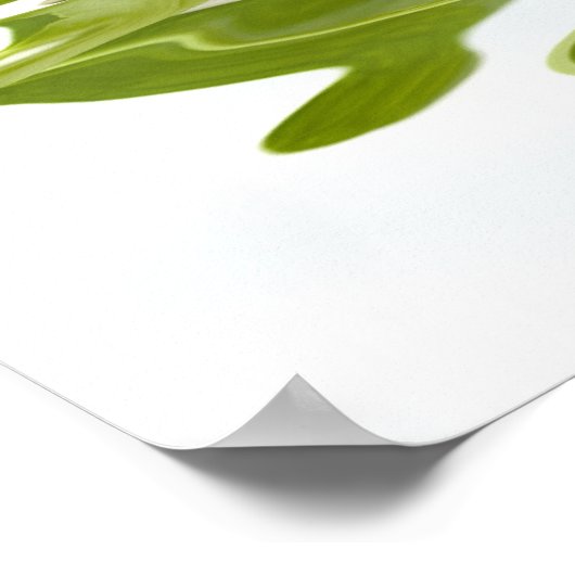 Poster de réflexion Zen Stone Relaxant (Coin)