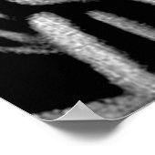 Poster de réimpression Zebras (Coin)