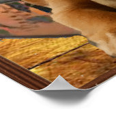 Poster de repérage Labrador (Coin)