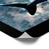 Poster de requin (Coin)