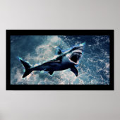 Poster de requin (Devant)
