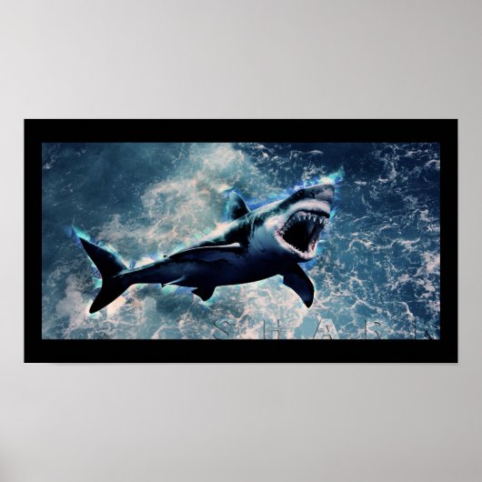 Poster de requin (Devant)