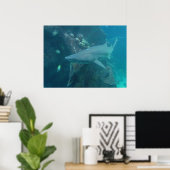 Poster de requin (Bureau à domicile)