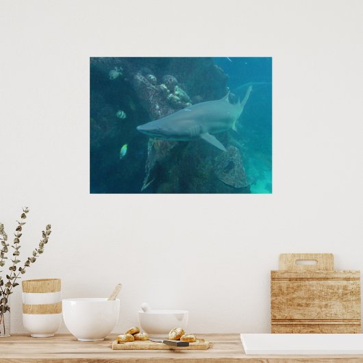 Poster de requin (Cuisine)