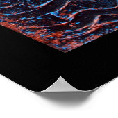 Poster de requin à tête de marteau (Coin)